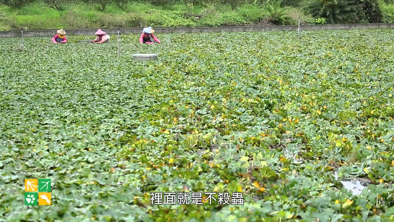 2014綠色保育標章 十分鐘中文版