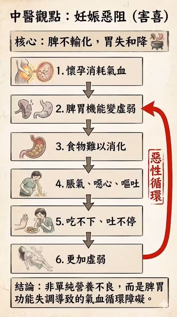 中醫觀點,害喜的惡性循環