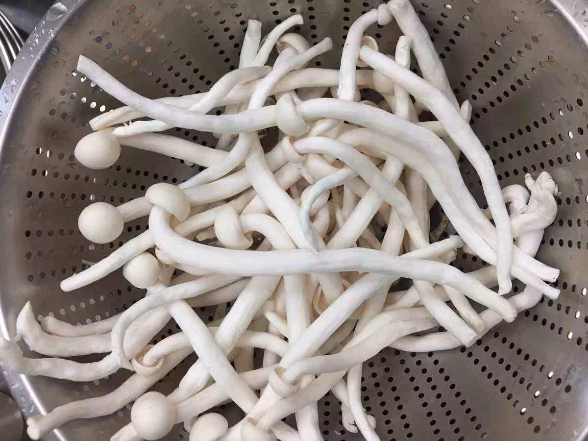 白精靈菇